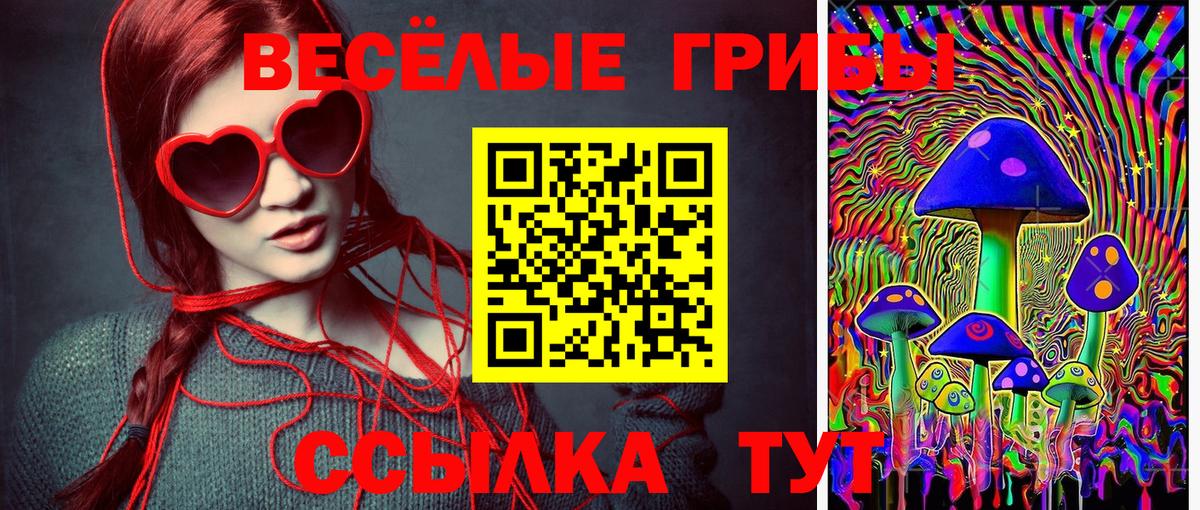 Валуйки  Псилоцибиновые грибы MAGIC MUSHROOMS  Вход с VPN 